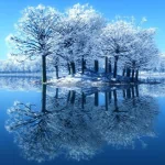  Reflections Of Winter