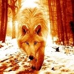 Wolf-2 by iamlonewolf2