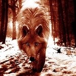 Lonewolf-7, 150X150 by iamlonewolf2