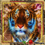 Tiger-2, 150X150 by iamlonewolf2