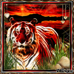 Tiger-7, 150X150 by iamlonewolf2