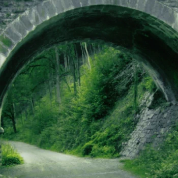 man made bridge PFP