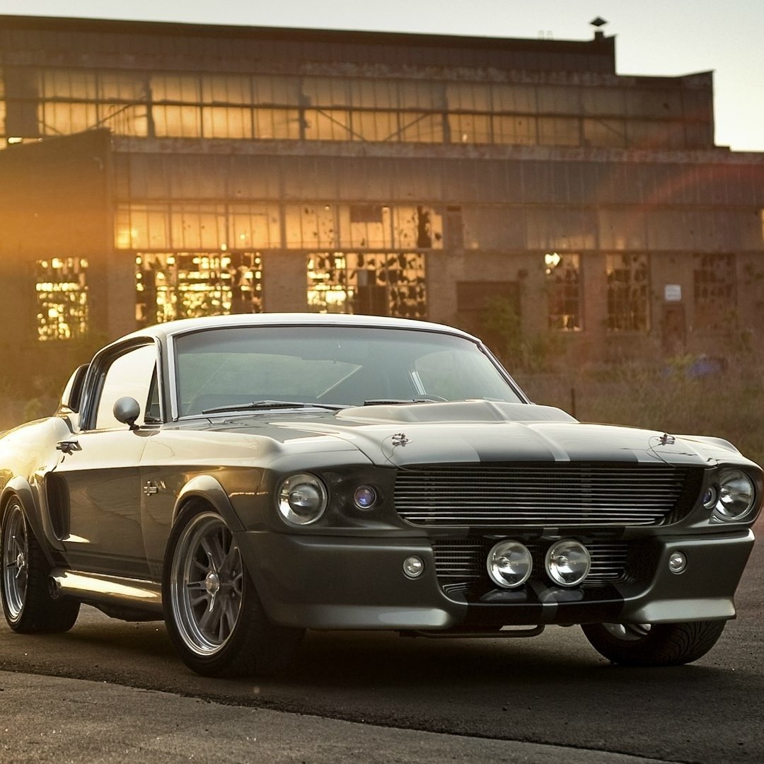 Ford Mustang Shelby GT500 Forum Avatar | Profile Photo - ID: 140040 ...