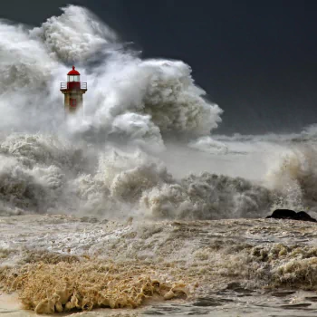  Safe in the Storm