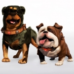 Dogs From Up