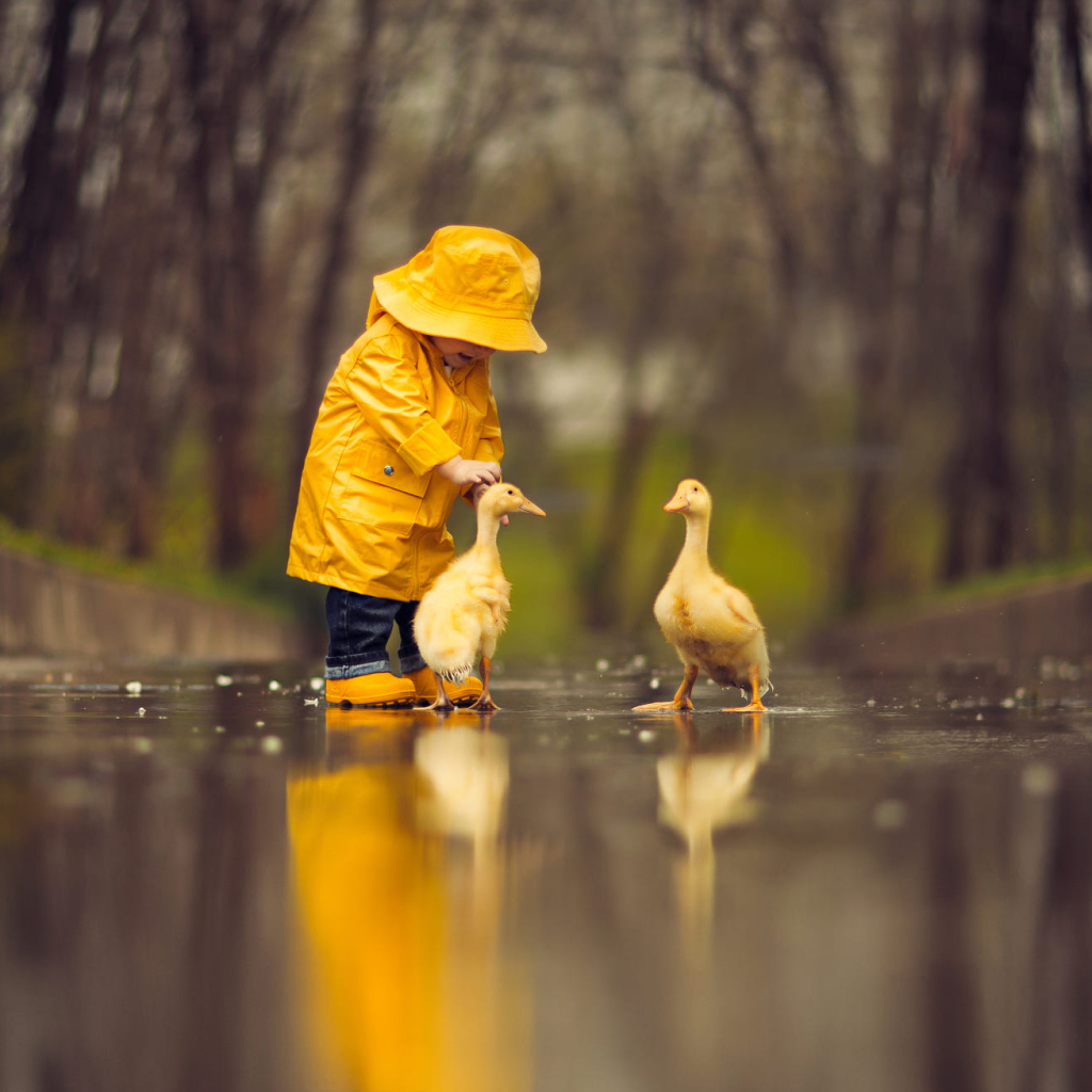 Little Boy with Geese by Jake Olson
