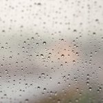 Download Photography Raindrops PFP