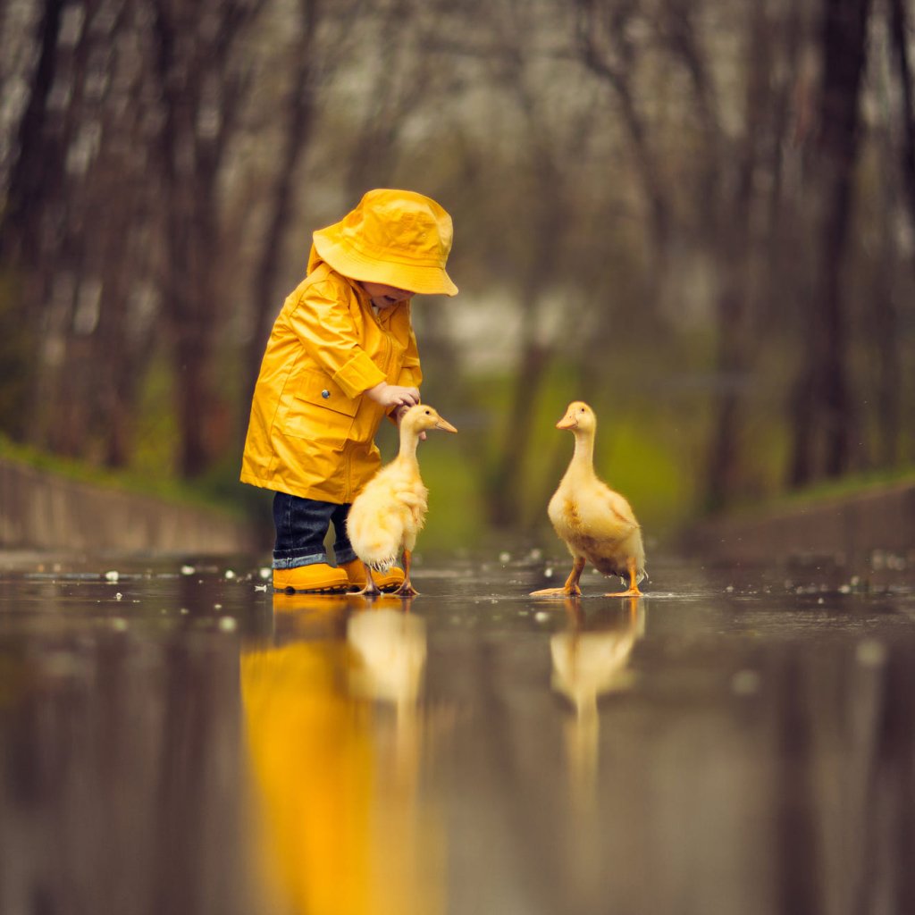 Download Cute Goose Reflection Raincoat Little Boy Child Photography ...