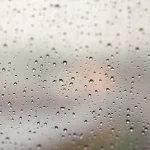 photography raindrops PFP