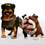  Dogs From Up