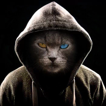  Cool Cat by Oneiro