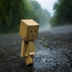 Download Misc Danbo PFP