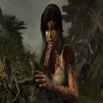 Download Video Game Tomb Raider PFP