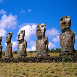 Moai Pfp