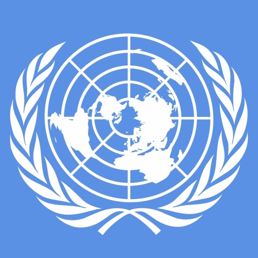 Flag Of The United Nations Pfp