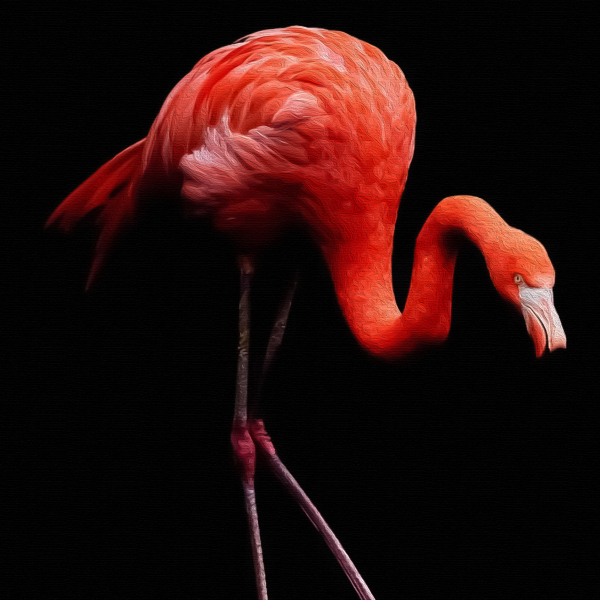 Flamingos - Painting