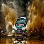 Download Rallying Sports PFP