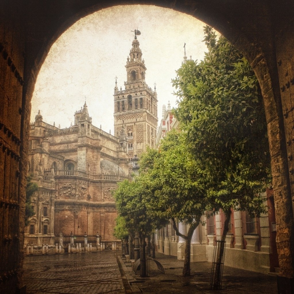Download Spain Seville Street Man Made PFP
