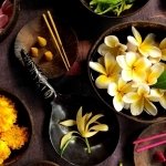 Download Photography Still Life PFP