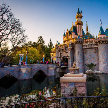 man made Disneyland PFP