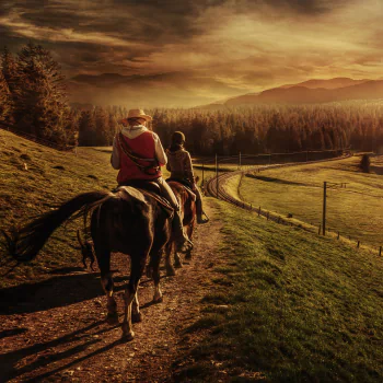  Horse Land by Chris Frank