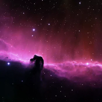 horse head nebula pink nebula Sci Fi PFP
