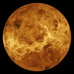 nature moon PFP