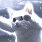 Glowing white cat with wide eyes and outstretched paws — a funny meme-style forum avatar/pfp.