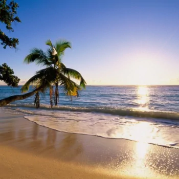  Paradise On Earth