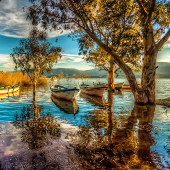  Bafa Lake by nejdet düzen
