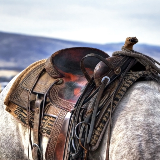 Cowboys western saddle on a horse by Bhakti2