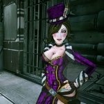 Download Video Game Borderlands 2 PFP