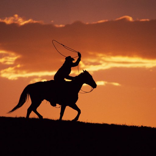 Download Horse Cowboy Man PFP