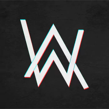  Alan Walker hallucinations