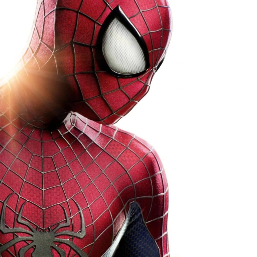The Amazing Spider-Man 2 Pfp