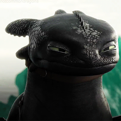 Download Toothless (How To Train Your Dragon) Movie How To Train Your Dragon 2 PFP