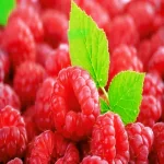 food raspberry PFP