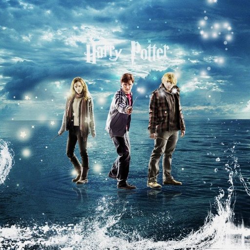Harry Potter Pfp