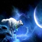 Download Fantasy Animal Fantasy Animal PFP