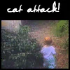 Forum avatar featuring a cat in a garden with greenery, accompanied by the text cat attack! in a playful font.