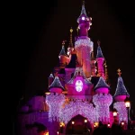 man made Disneyland PFP