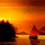 photography nature PFP