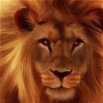 Download Animal Lion PFP
