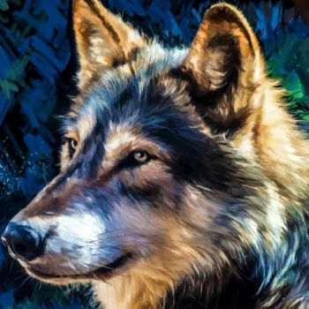  Wolf Art