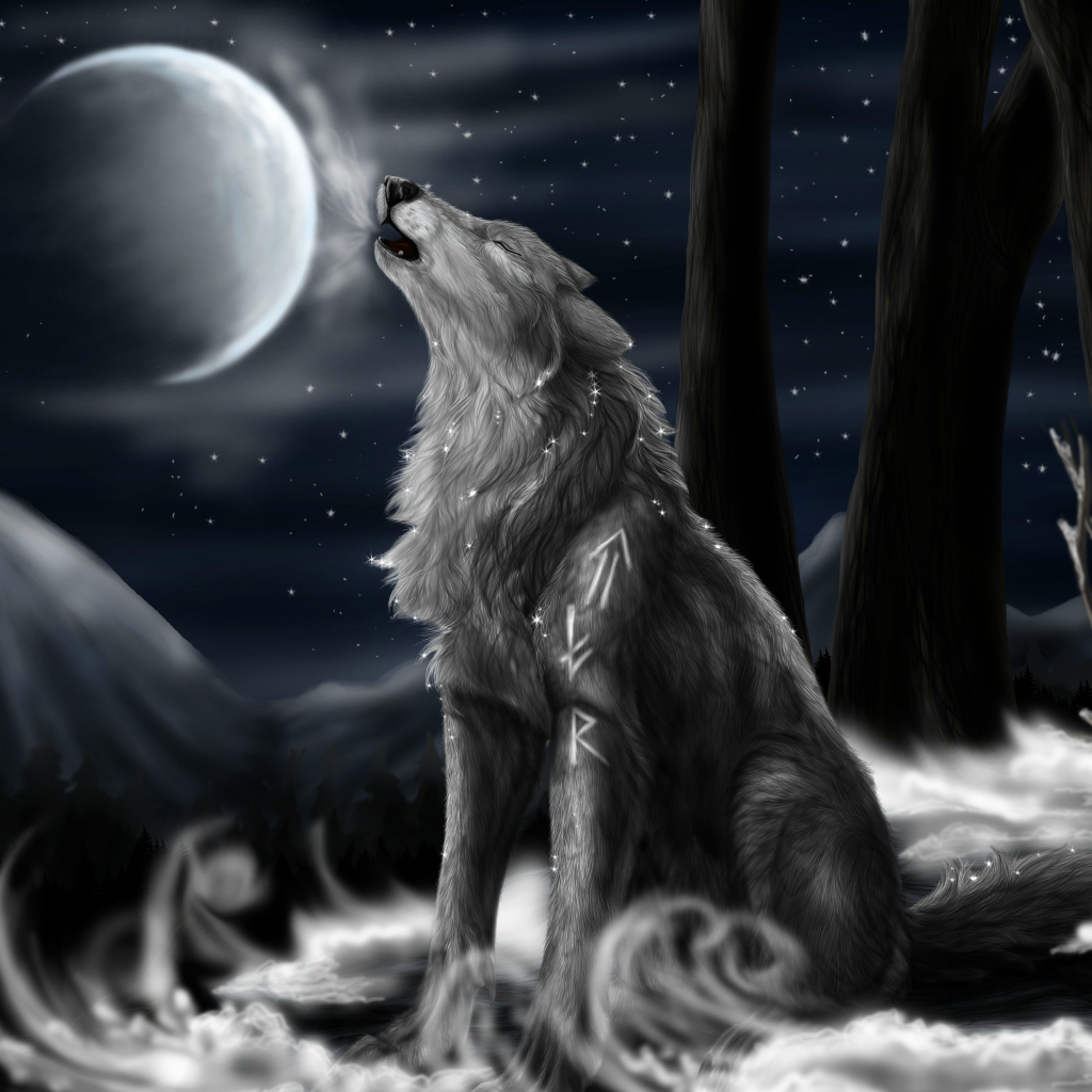 Download Animal Wolf PFP