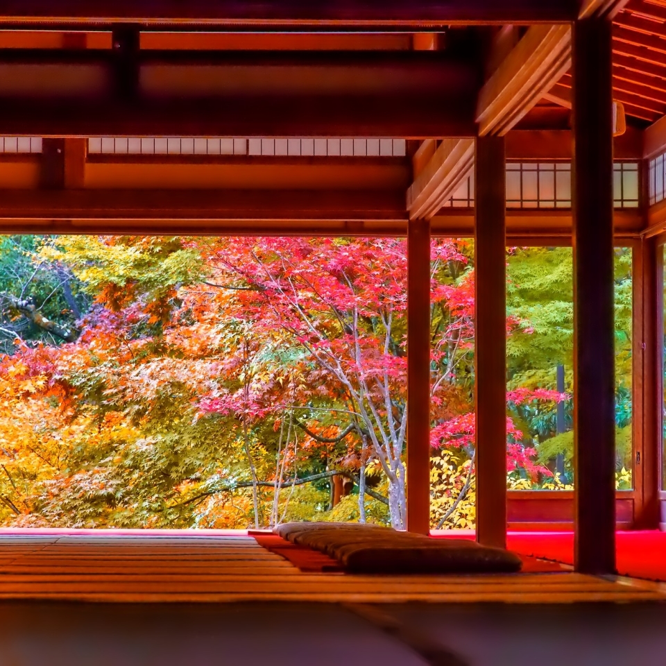 Japanese House in Autumn