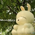 Download Man Made MashiMaro PFP