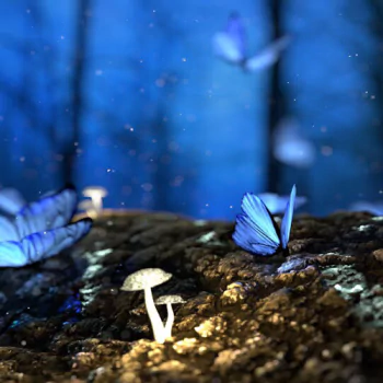  Butterfly Gathering