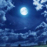 nature moon PFP