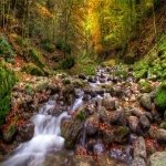 Download Nature Stream PFP